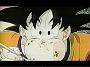 Dragonball Z Movie 11 (25)